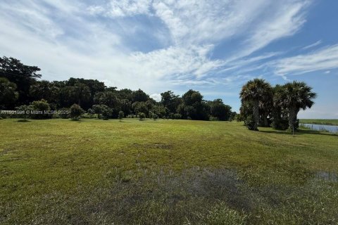 Land in Okeechobee, Florida № 1953423 - photo 21