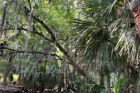 Land in Okeechobee, Florida № 1953423 - photo 29