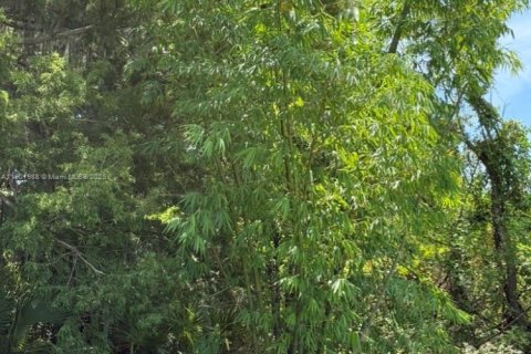 Land in Okeechobee, Florida № 1953423 - photo 22