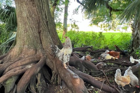 Land in Okeechobee, Florida № 1953423 - photo 16