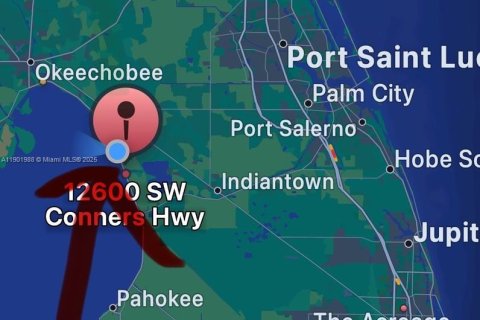 Land in Okeechobee, Florida № 1953423 - photo 4