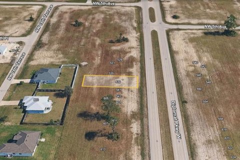 Land in Cape Coral, Florida № 2385928 - photo 3