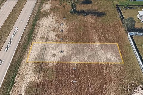 Land in Cape Coral, Florida № 2385928 - photo 2