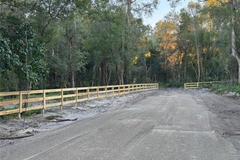 Land in Lake Helen, Florida № 1877353 - photo 4