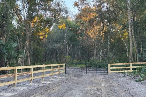 Land in Lake Helen, Florida № 1877353 - photo 3