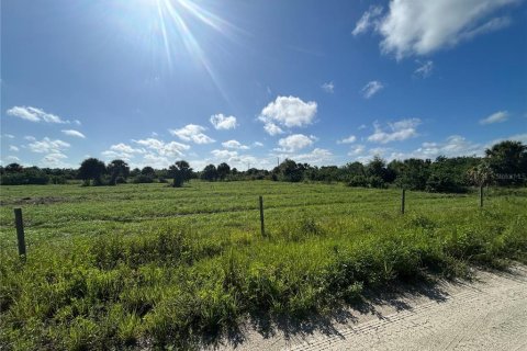 Land in Punta Gorda, Florida № 1835401 - photo 3