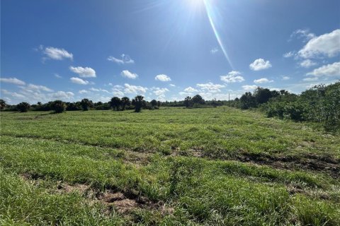 Land in Punta Gorda, Florida № 1835401 - photo 2