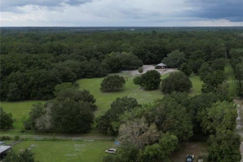 Land in Archer, Florida № 1822303 - photo 5