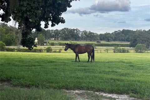 Land in Archer, Florida № 1822303 - photo 2