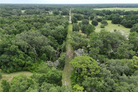 Land in Archer, Florida № 1822303 - photo 6