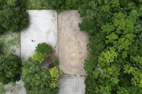 Land in Archer, Florida № 1822303 - photo 7