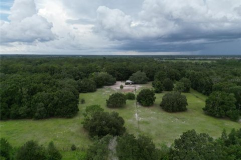 Land in Archer, Florida № 1822303 - photo 4