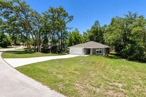 Villa ou maison à Dunnellon, Floride 3 chambres, 164.99 m2 № 2407048
