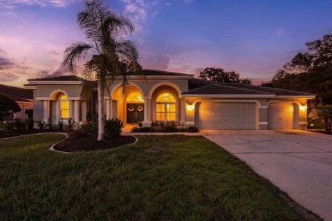 Casa en Tarpon Springs, Florida 4 dormitorios, 281.68 m2 № 2376856