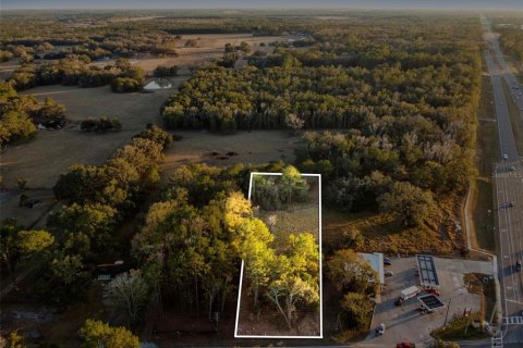 Terrain à Brooksville, Floride № 2108368
