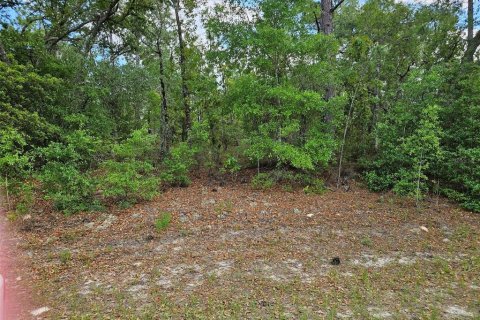 Land in Dunnellon, Florida № 2160854