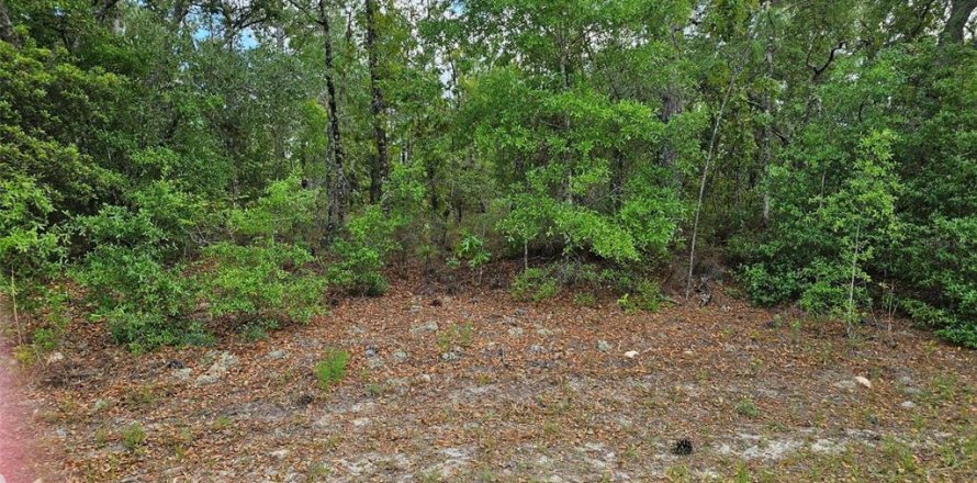 Land in Dunnellon, Florida № 2160854