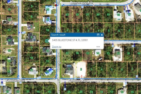 Land in Port Charlotte, Florida № 2159418 - photo 3