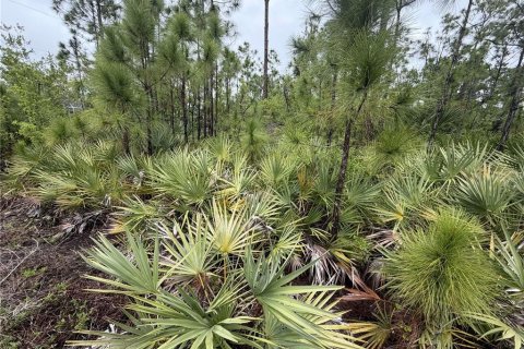 Land in Port Charlotte, Florida № 2159418 - photo 4