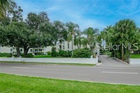 Condo à Tampa, Floride, 1 chambre  № 2378234