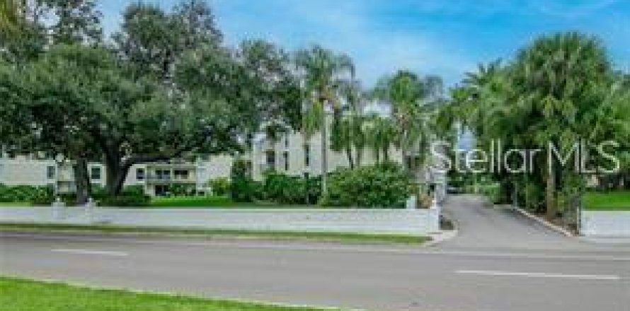 Condo à Tampa, Floride, 1 chambre № 2378234