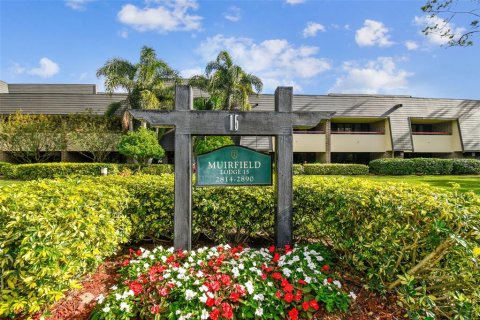Condo in Palm Harbor, Florida, 1 bedroom  № 1546961 - photo 1