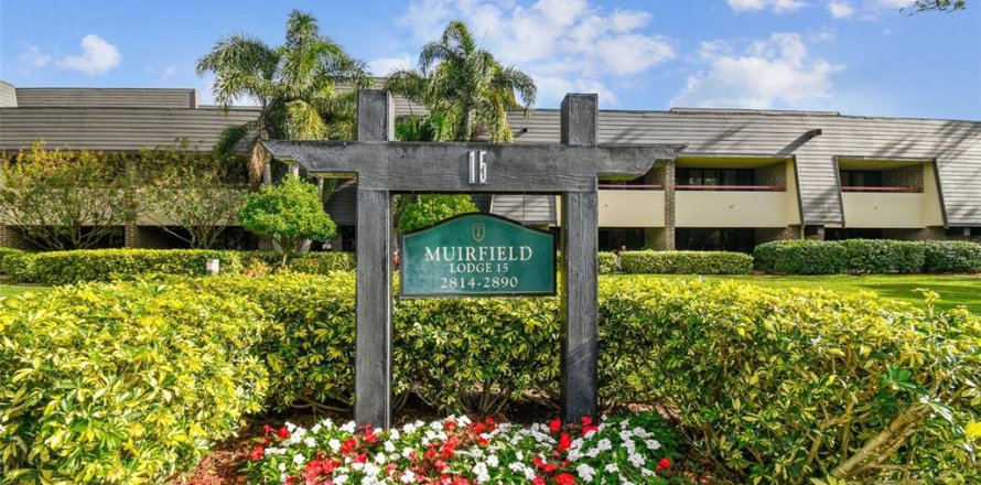 Condo in Palm Harbor, Florida, 1 bedroom № 1546961