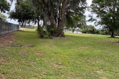 Land in Winter Haven, Florida № 2103352 - photo 7