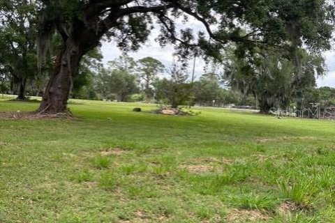 Land in Winter Haven, Florida № 2103352 - photo 6