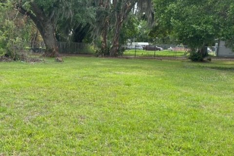 Land in Winter Haven, Florida № 2103352 - photo 3
