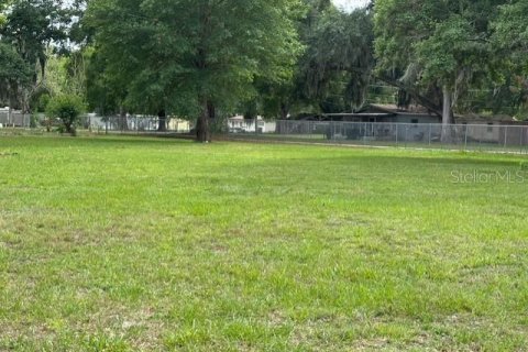 Land in Winter Haven, Florida № 2103352 - photo 4