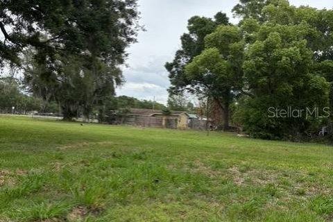 Land in Winter Haven, Florida № 2103352 - photo 5