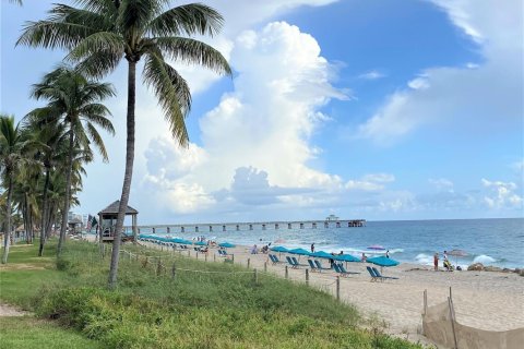 Apartment in Deerfield Beach, Florida 1 bedroom, 63.17 sq.m. № 2418125 - photo 15