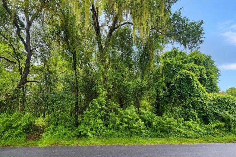 Land in Inverness, Florida № 2196401