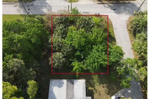 Land in Ormond Beach, Florida № 2106228 - photo 2