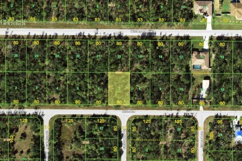 Land in Port Charlotte, Florida № 2235223 - photo 2