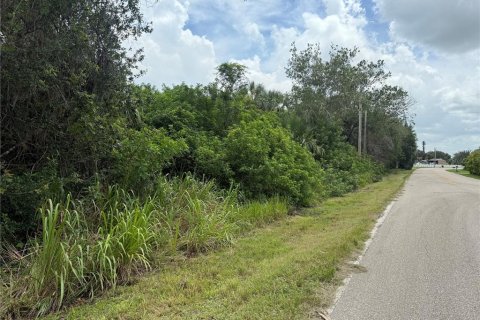 Land in Punta Gorda, Florida № 1833468 - photo 6