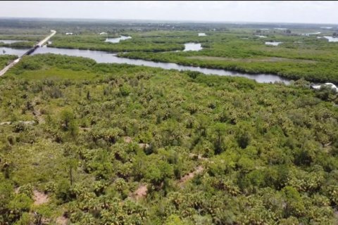 Land in Punta Gorda, Florida № 1833468 - photo 4