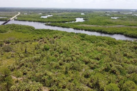Land in Punta Gorda, Florida № 1833468 - photo 5