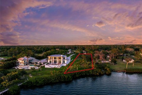 Land in Englewood, Florida № 2103667 - photo 4