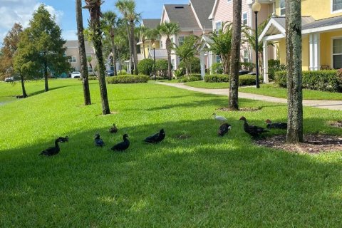 Condo in Kissimmee, Florida, 1 bedroom № 2212371 - photo 23