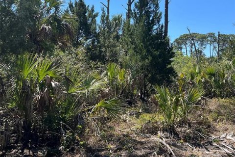 Terreno en venta en Cedar Key, Florida № 1088193 - foto 5