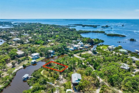 Terreno en venta en Cedar Key, Florida № 1088193 - foto 11