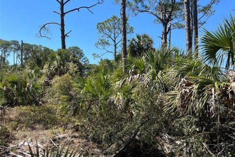Terreno en venta en Cedar Key, Florida № 1088193 - foto 3