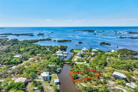 Terreno en venta en Cedar Key, Florida № 1088193 - foto 10