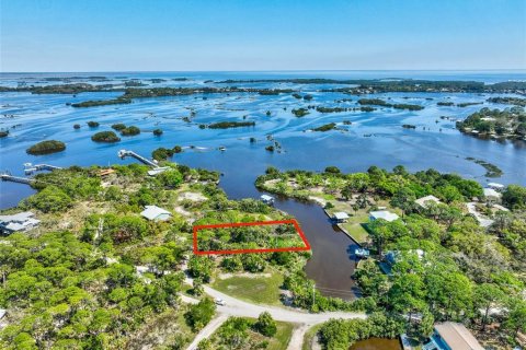 Terreno en venta en Cedar Key, Florida № 1088193 - foto 14