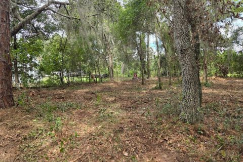 Terreno en venta en Hawthorne, Florida № 1657066 - foto 10