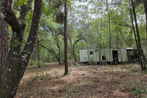 Terreno en venta en Hawthorne, Florida № 1657066 - foto 8
