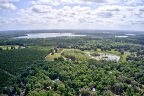 Land in Hawthorne, Florida № 1657066 - photo 4