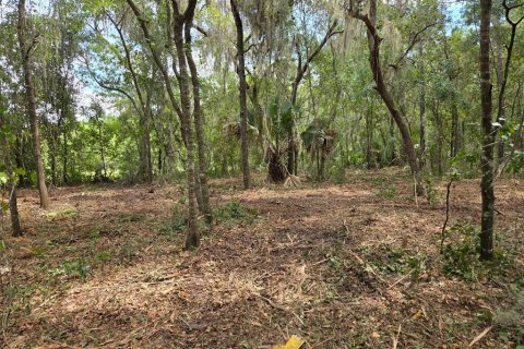 Terreno en venta en Hawthorne, Florida № 1657066 - foto 13